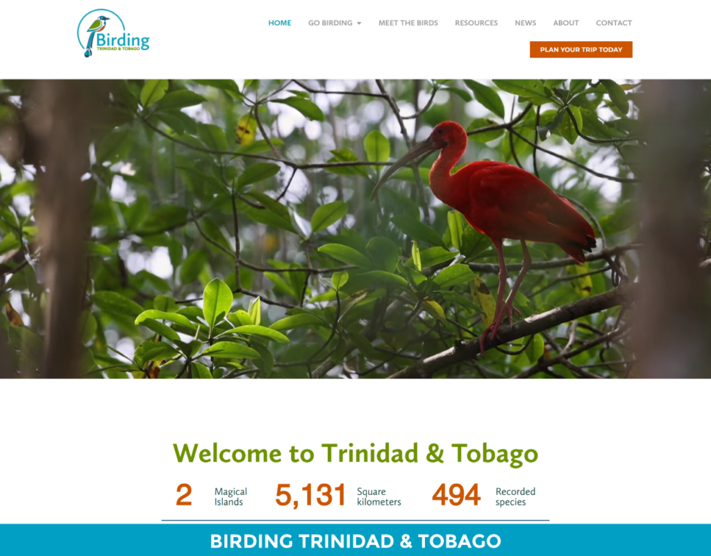 BIRDING-TRINIDAD-TOBAGO