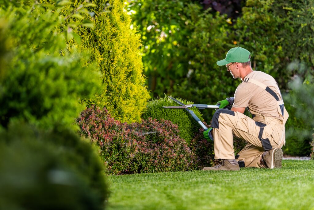 Transforming Outdoor Spaces