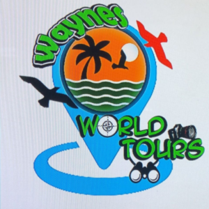 waynes world tours logo