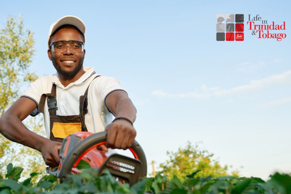 5 Signs of a Reliable Landscaping Company in Trinidad and Tobago