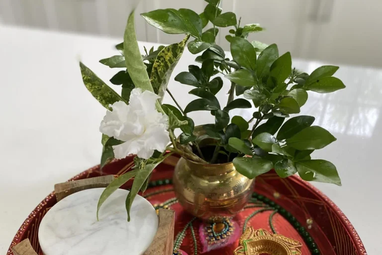 Home Decor in Trinidad & Tobago