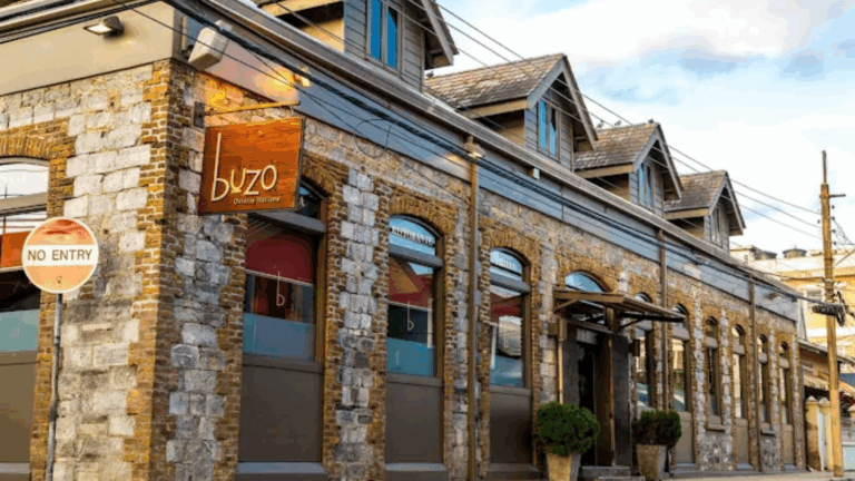 buzo 1