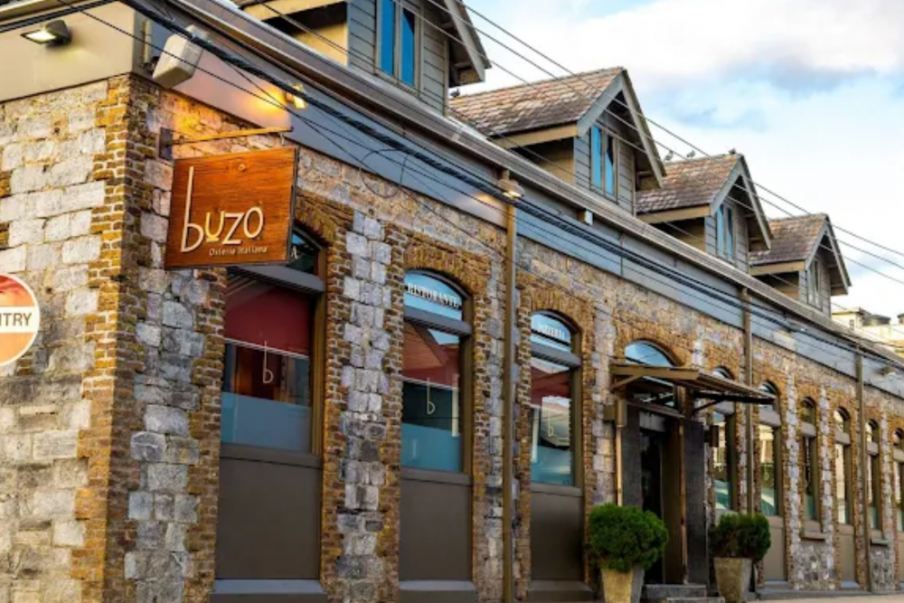 buzo 1
